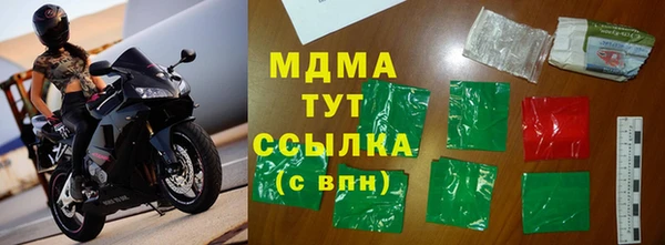 spice Богородицк