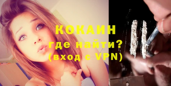 дмт Богданович