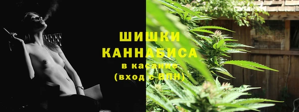 дмт Богданович