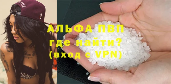 spice Богородицк