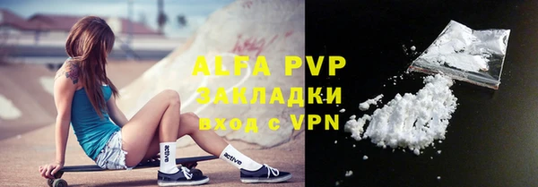 spice Богородицк