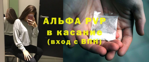 spice Богородицк