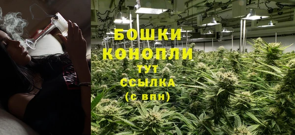 дмт Богданович