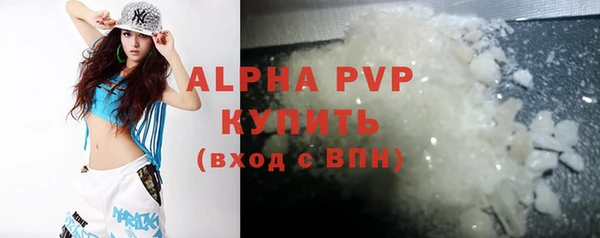 spice Богородицк