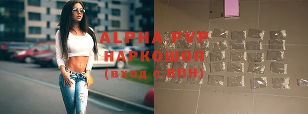 дмт Богданович