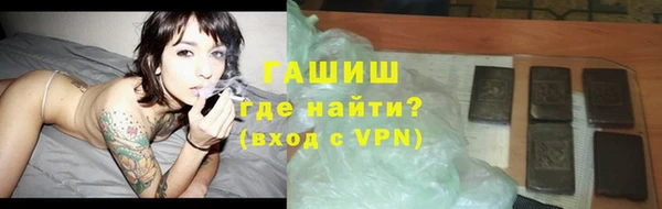 дмт Богданович
