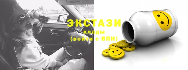 spice Богородицк