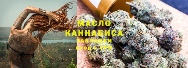 дмт Богданович