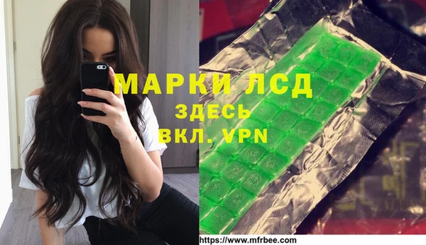 дмт Богданович