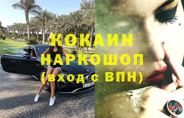 дмт Богданович