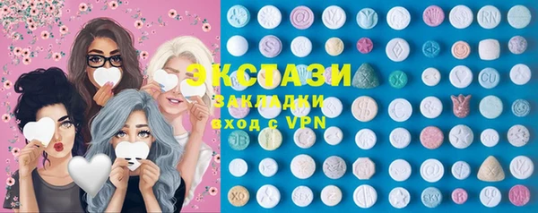 spice Богородицк
